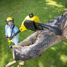 Best Lawn Pest Prevention  in Au Sable, MI